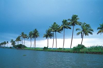 Kumarakom image